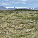 Gullfoss og nágrenni IV